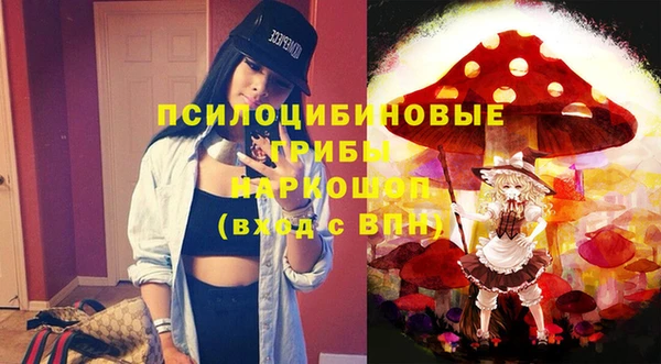 бошки Горнозаводск