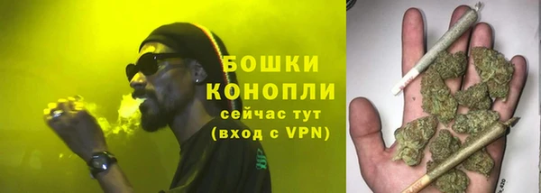 бошки Горнозаводск