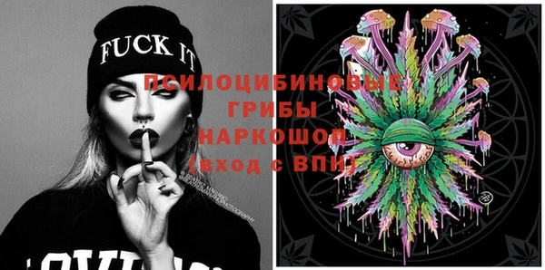 бошки Горнозаводск