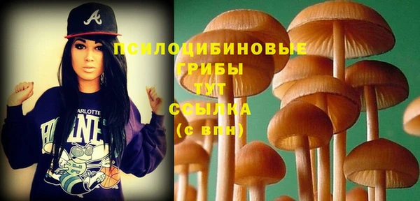 а пвп мука Горняк