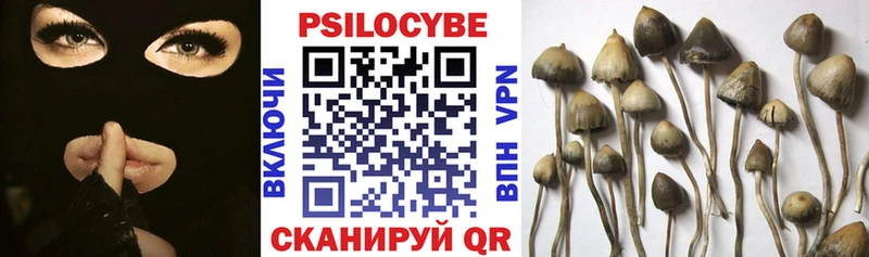 Псилоцибиновые грибы мицелий  Купить где  Нерчинск 